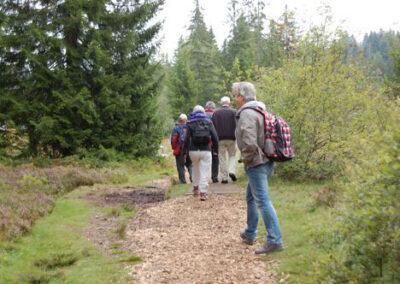 Chorreise des Gemischten Chores Remetschwil 2014 zu den Jura Weiden