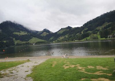 Gemischter Chor Remetschwil Chorreise 2019 Fribourg See