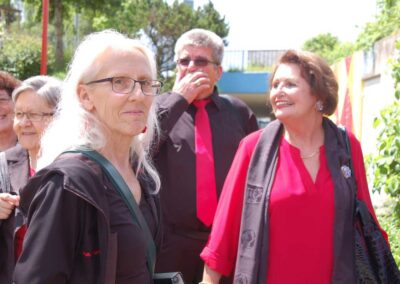 Sängertag 2016 in Berikon mit dem gemischten Chor Remetschwil