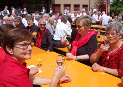 Sängertag 2016 in Berikon mit dem gemischten Chor Remetschwil