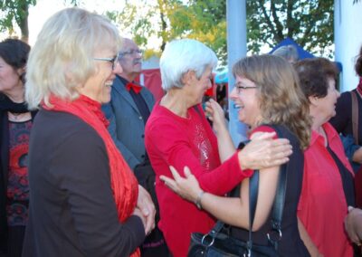 Der Gemischte Chor Remetschwil am Kantonalen Gesangsfest 2014 in Frick